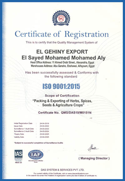 Gehiny Export Company