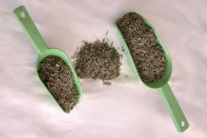 Gehiny Export Company