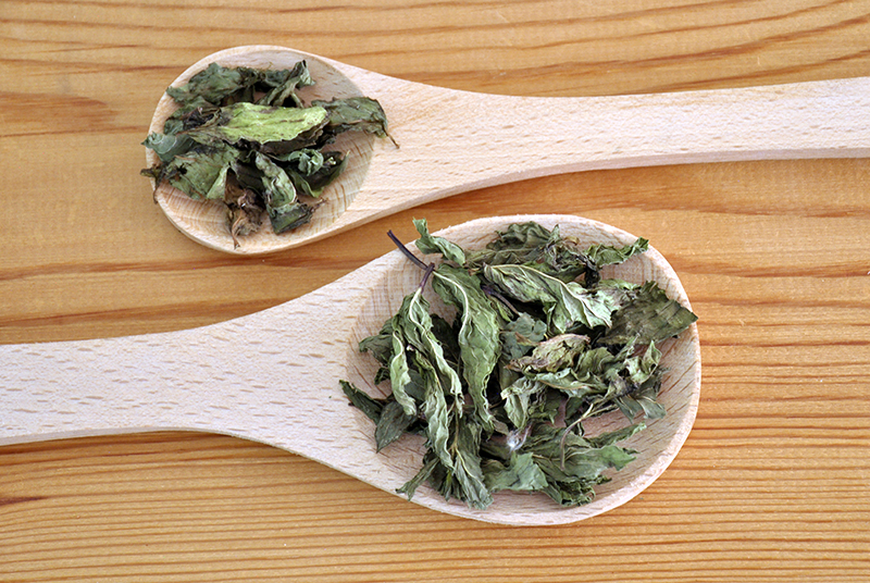 Gehiny Export Company