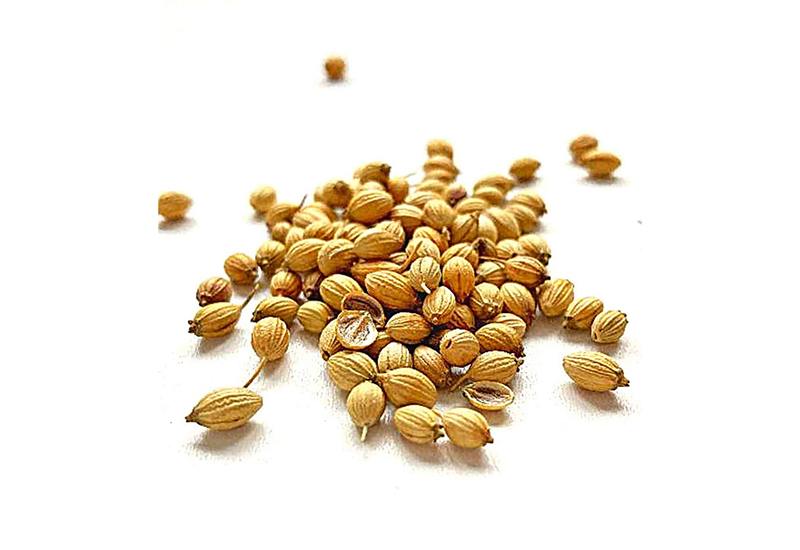 Gehiny Export Company