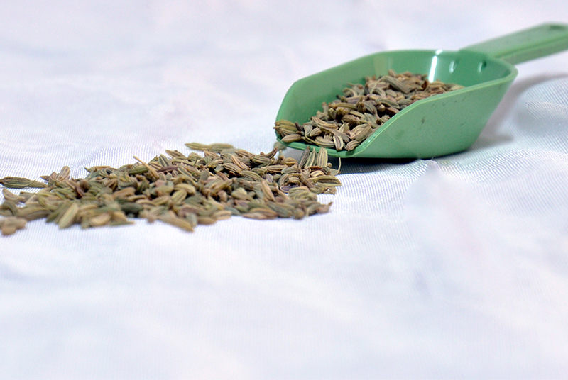 Gehiny Export Company