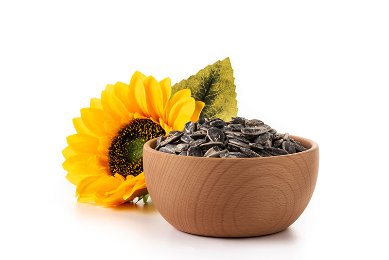 Gehiny Export Company