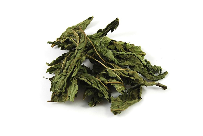 Gehiny Export Company