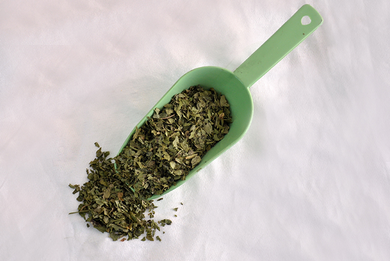 Gehiny Export Company