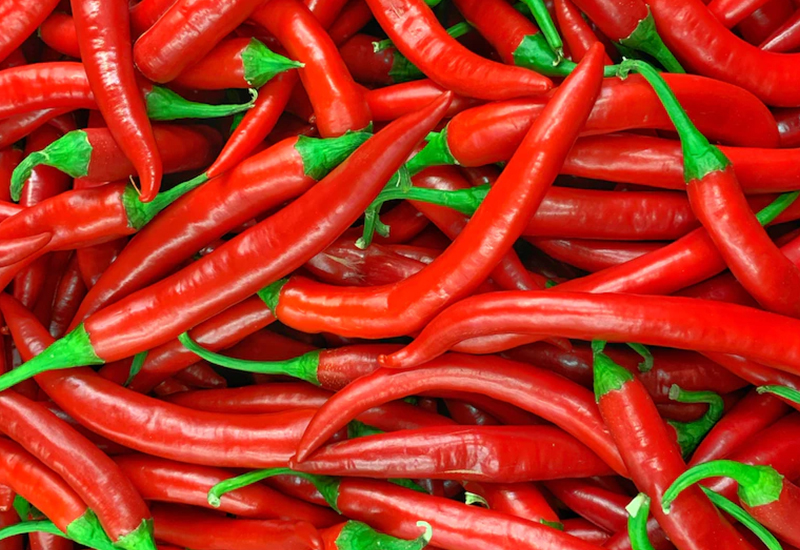 Gehiny Export Company