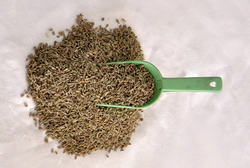 Gehiny Export Company