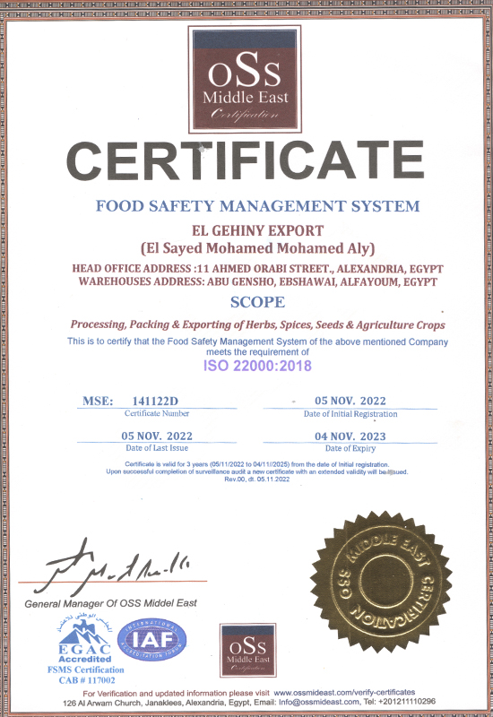 Gehiny Export Company